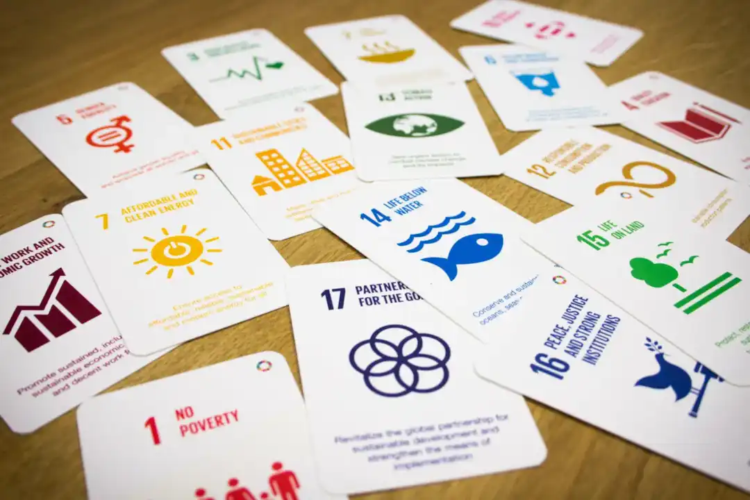 SDG Kickstarter